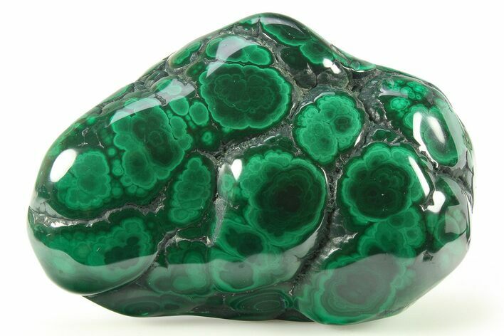 Flowery Polished Malachite Specimen - DR Congo #273894